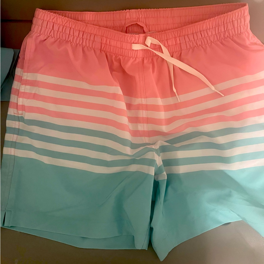 Chubbies men’s swim trunks 5.5 inseam Size L